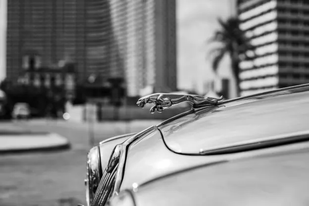 Καζούμ Καζίνο Εφαρμογή Android/iOS